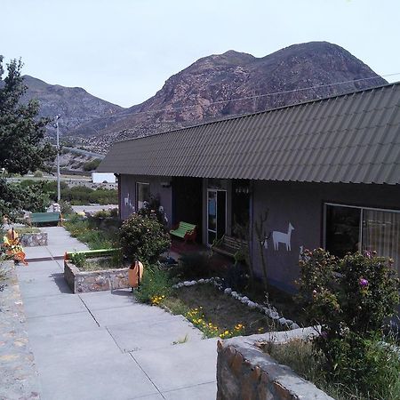 Hotel Las Vicunas Putre Exterior photo