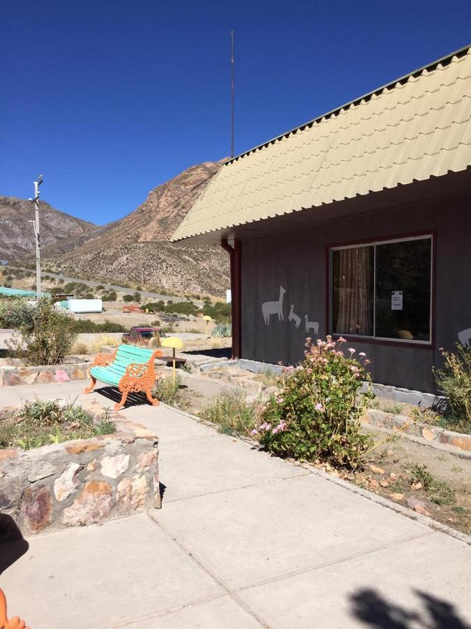 Hotel Las Vicunas Putre Exterior photo