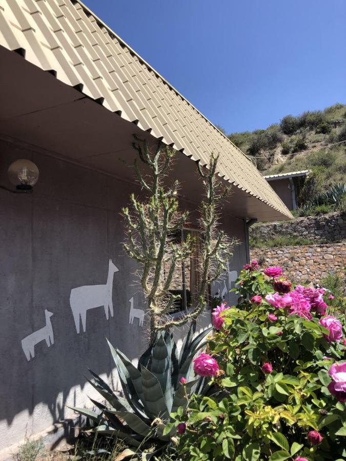 Hotel Las Vicunas Putre Exterior photo