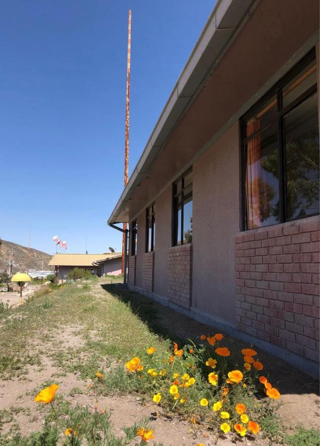 Hotel Las Vicunas Putre Exterior photo