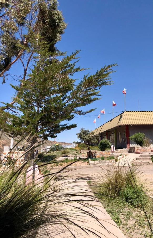Hotel Las Vicunas Putre Exterior photo