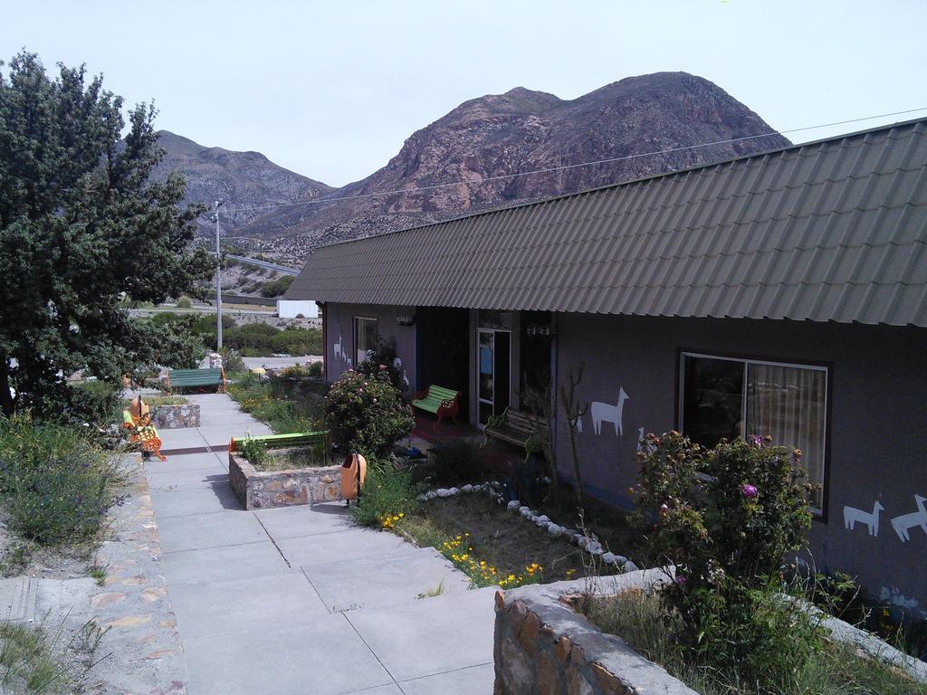 Hotel Las Vicunas Putre Exterior photo